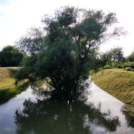 Bükkös-patak tanösvény, Szentendre - Egyéb