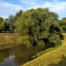 Bükkös-patak tanösvény, Szentendre - Egyéb