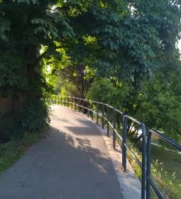 13. legjobb látnivaló: Bükkös-patak tanösvény