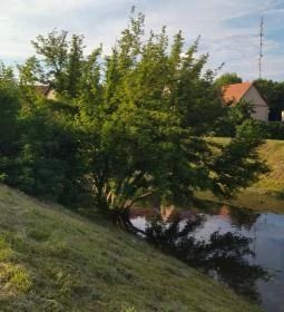 Bükkös-patak tanösvény