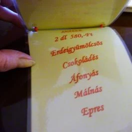 Café Antico, Székesfehérvár - Étlap/itallap