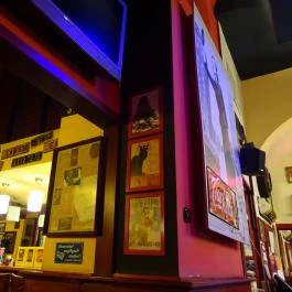 Café Tulipán Bistro Budapest - Belső