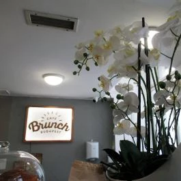 Cafe Brunch Bazilika, Budapest - Egyéb