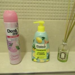 Café Dharma, Szentendre - Mosdó