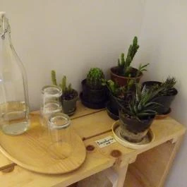 Cafe El Mondo Budapest - Belső