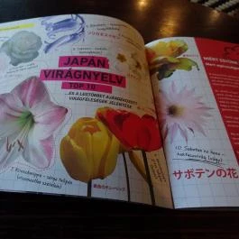 Cafe Frei - Nyugati tér Budapest - Egyéb