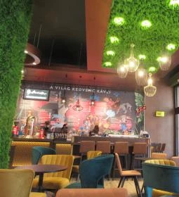 Cafe Frei - Falk Miksa