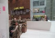 Cafe Frei - Könyves Kálmán körút Budapest