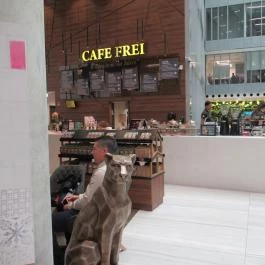 Cafe Frei - Könyves Kálmán körút Budapest - Külső kép