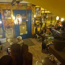 Cafe Frei Miskolc - Belső