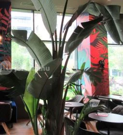 Cafe Frei - Office Garden