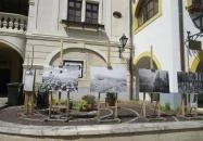 Cafe Mandala Székesfehérvár