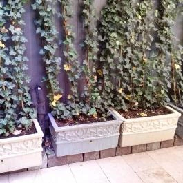 Café Pierrot, Budapest - Egyéb