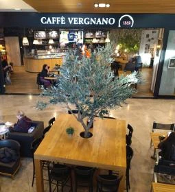 Caffè Vergnano - Allee