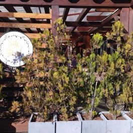 Süti Butik Cukrászda Zalakaros - Mosdó