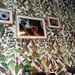 Caffé Vergnano - Corvin Plaza Budapest - Egyéb