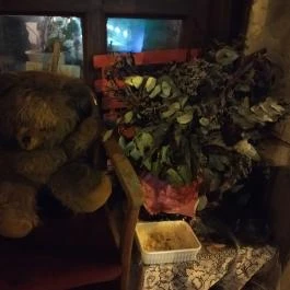 Calgary Antik Drinkbár Budapest - Egyéb