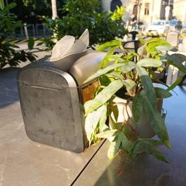 Calzone Pizzéria Budapest - Egyéb