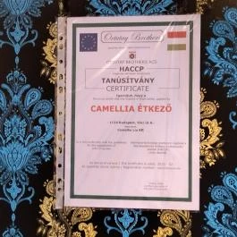Camellia Resturant Budapest - Egyéb