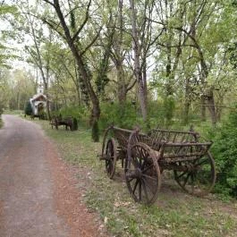 Camping & Bungalows Makó Makó - Egyéb