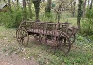 Camping & Bungalows Makó Makó