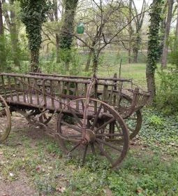 Camping & Bungalows Makó