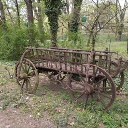 Camping & Bungalows Makó Makó - Egyéb