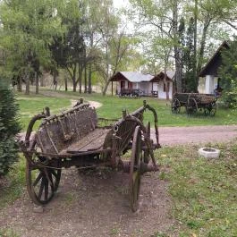 Camping & Bungalows Makó Makó - Egyéb