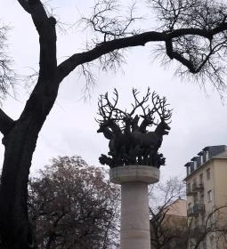 Cantata profana-kút