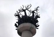 Cantata profana-kút Budapest