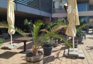 Capri Duna Pizzeria Budapest