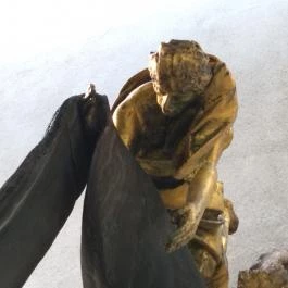 Carl Lutz emlékműve Budapest - Egyéb