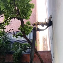 Carl Lutz emlékműve Budapest - Egyéb