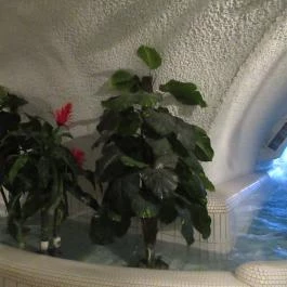 Cascade Barlang- & Élményfürdő Demjén - Egyéb