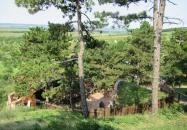 Castrum Boldua középkori étterem Boldogkőváralja