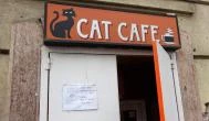 Cat Café - Damjanich utca Budapest - Külső kép