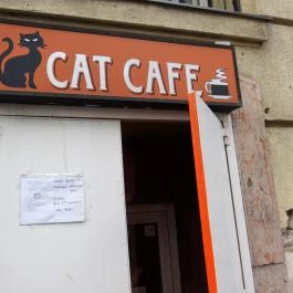 Cat Café - Damjanich utca Budapest - Külső kép