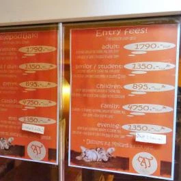 Cat Café - Damjanich utca Budapest - Étlap/itallap