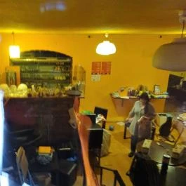 Cat Café - Damjanich utca Budapest - Belső