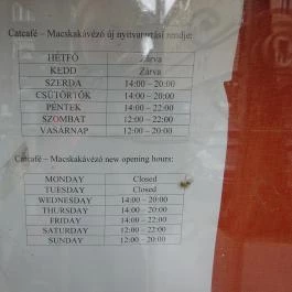 Cat Café - Damjanich utca Budapest - Egyéb