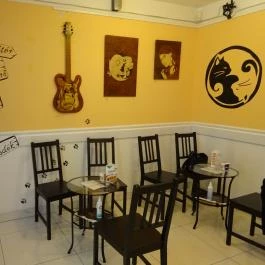 Cat Café - Révay utca Budapest - Belső