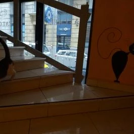 Cat Café - Révay utca Budapest - Belső