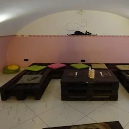 Cat Café - Révay utca Budapest - Belső