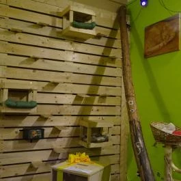 Cat Café - Révay utca Budapest - Belső