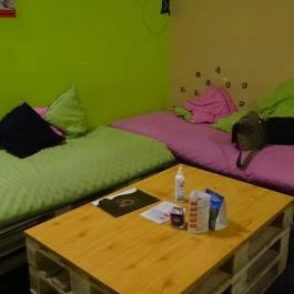 Cat Café - Révay utca Budapest - Belső