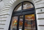 Cat Café - Révay utca Budapest