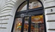 Cat Café - Révay utca Budapest - Külső kép