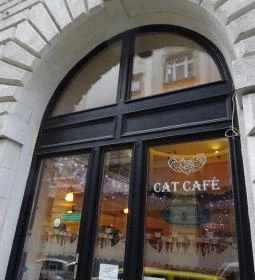 Cat Café - Révay utca
