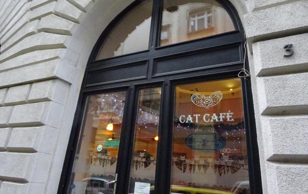 Cat Caf R vay utca Budapest J rt l m r itt Olvass Cat Caf R vay utca Budapest J rt l m r itt Olvass