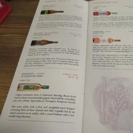 Cat Café - Révay utca Budapest - Egyéb